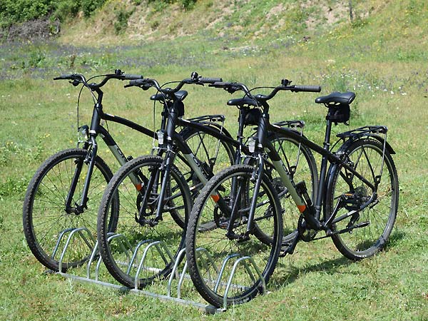 Orbea standard bikes