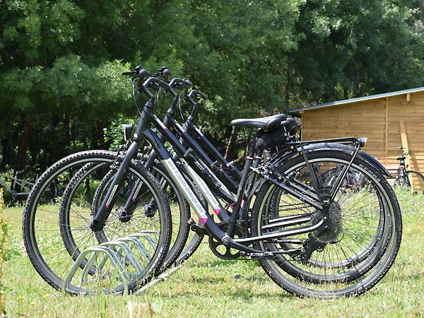 Standaard-fietsen van het merk Orbea