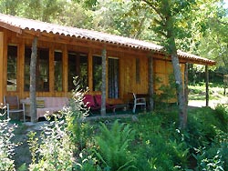 Quinta da abelenda, accommodation near the Ecopista do Dão, 200 meters from Abelenda Bike Rental